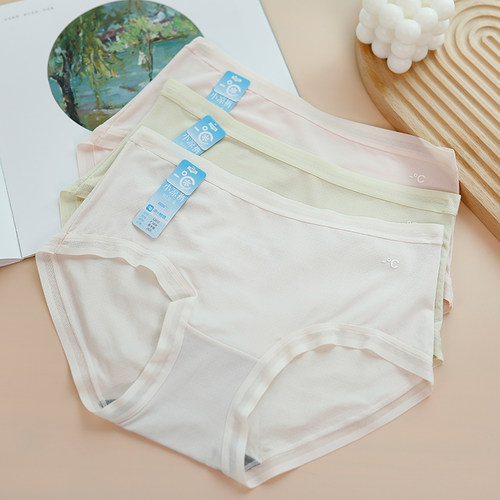 彩田小凉裤莫代尔透气孔大码内裤