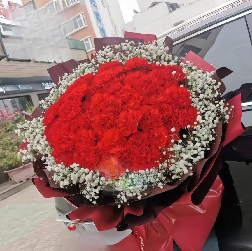 66朵红色康乃馨母亲生日寿宴爷爷老人奶奶鲜花速递同城北京鲜花店