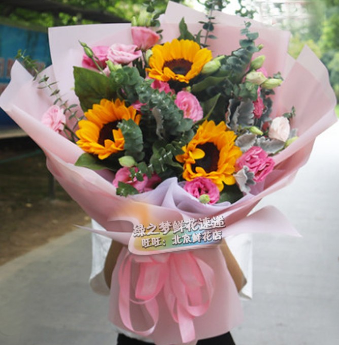 向日葵花束北京鲜花速递天津花店老师日生日送鲜花太阳花男士鲜花