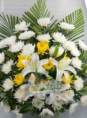 送花扫墓花篮墓前花清明节订花鲜花黄白菊花鲜花祭祀北京花店天津