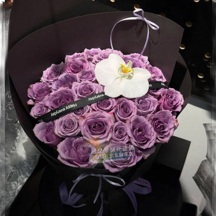33朵紫玫瑰花束全国鲜花速递表白送女友生日天津同城花店送花北京