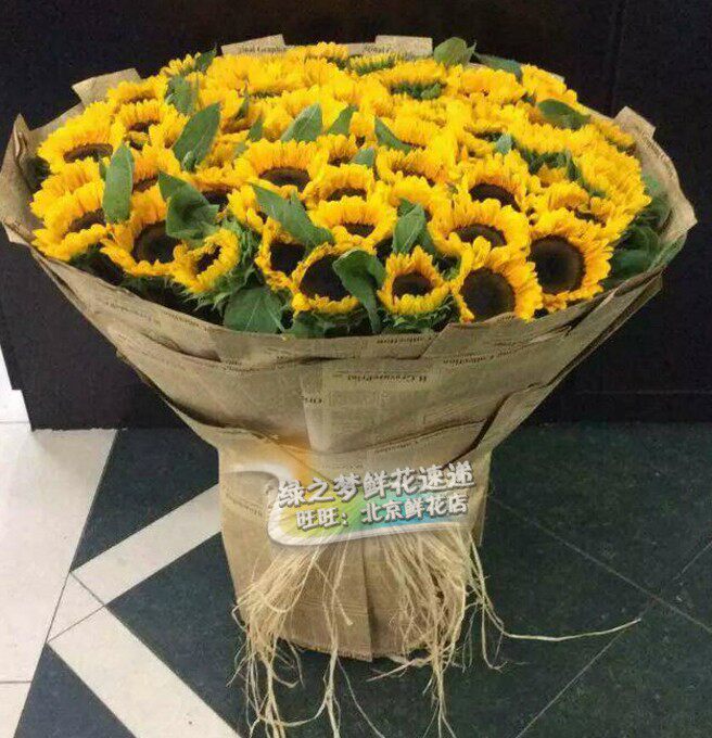 向日葵花束 同城送女友生日鲜花 上海订花北京鲜花速递天津鲜花店