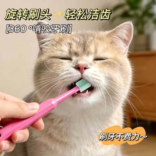 猫咪啃咬牙刷清洁去牙垢牙膏套装