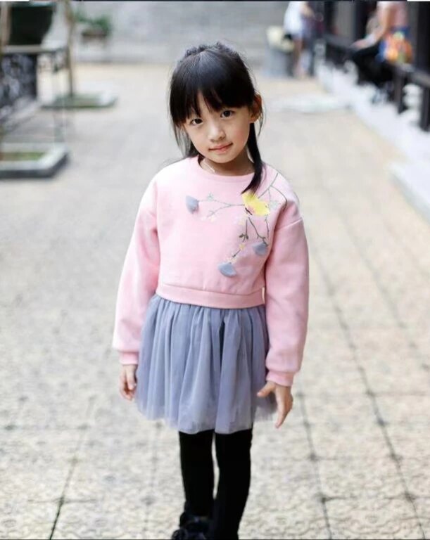 韩单婴幼儿中童女童 秋冬款儿童长袖上衣圆领套头衫连衫裙90-130