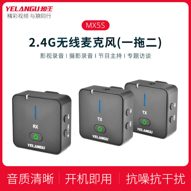 2.4G领夹无线麦克风一拖二 抖音直播采访麦 手机相机拍摄小蜜蜂