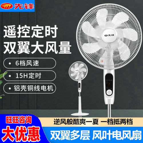 先锋电风扇DD1605落地扇FS40-16ER遥控定时家用双风叶智能大风量