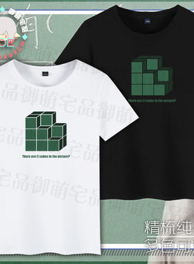 多款包邮 学霸题 数立方体 洗脑 印象短袖 T恤纯棉 文化衫