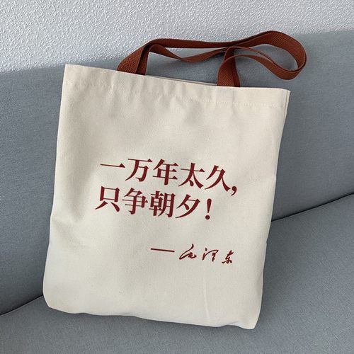 学生帆布袋手提新青年帆布包女大容量单肩斜挎收纳包拉链拎包定制