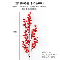 【Зима Qing 6 Brawters】 красный