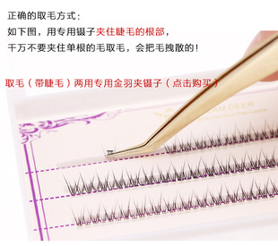 梦鹿美妆工具夹子朵毛单簇鱼尾专用朵毛短款 镊子金羽夹极细细胞夹