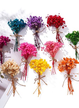 满天星干花小花束壁挂相框