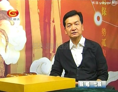 定式在实战中的运用11DVD130集