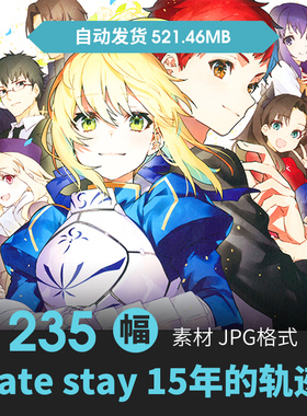 Fatestay night 15年的轨迹设定集人物场景原画游戏动漫参考素材