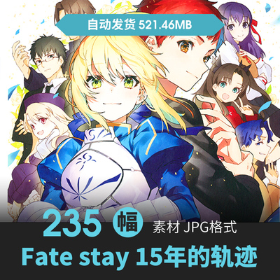 Fatestay night 15年的轨迹设定集人物场景原画游戏动漫参考素材