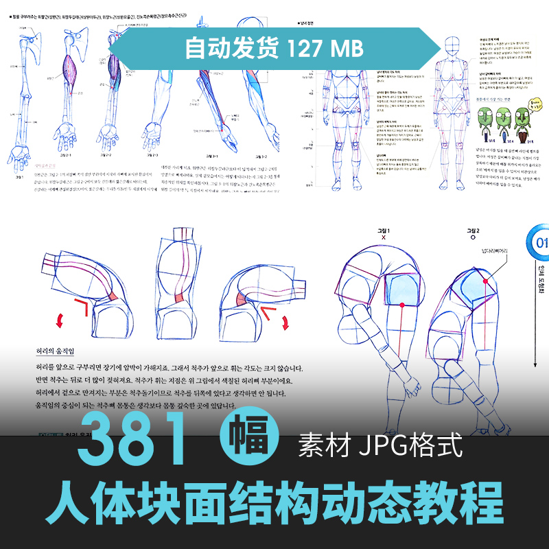 艺用人体姿态解剖结构骨骼肌肉素描速写原插绘画动漫线稿教程素材