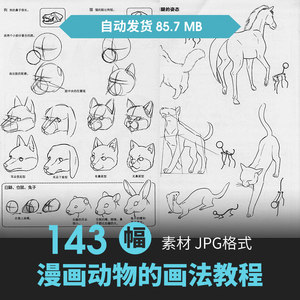 动物画法基础教程生物动态结构肌肉骨骼骨架绘画线稿手绘参考素材