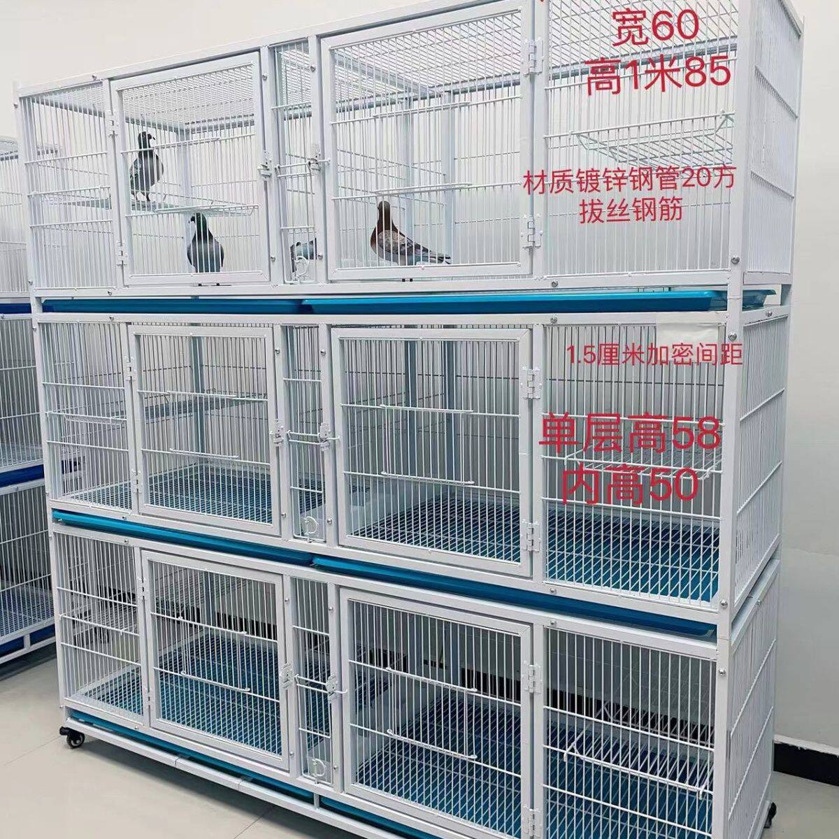 鸽子笼家用繁殖镀锌加密信鸽配对鸽子笼多层三层元宝台式配对笼