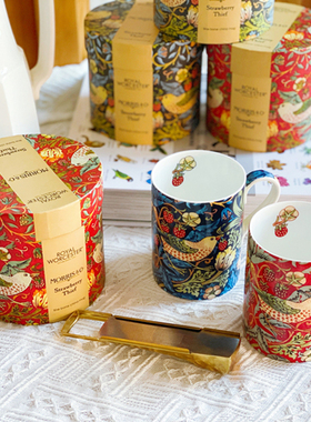 瑞典Drosselmeyer 泡茶器  工艺设计感|不滴水|易清洁|滤茶器茶具