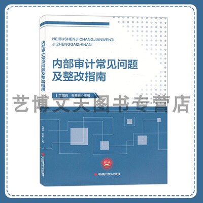 内部审计常见问题及整改指南 高增亮 毛亚敏 9787511934543 中国时代经济出版社