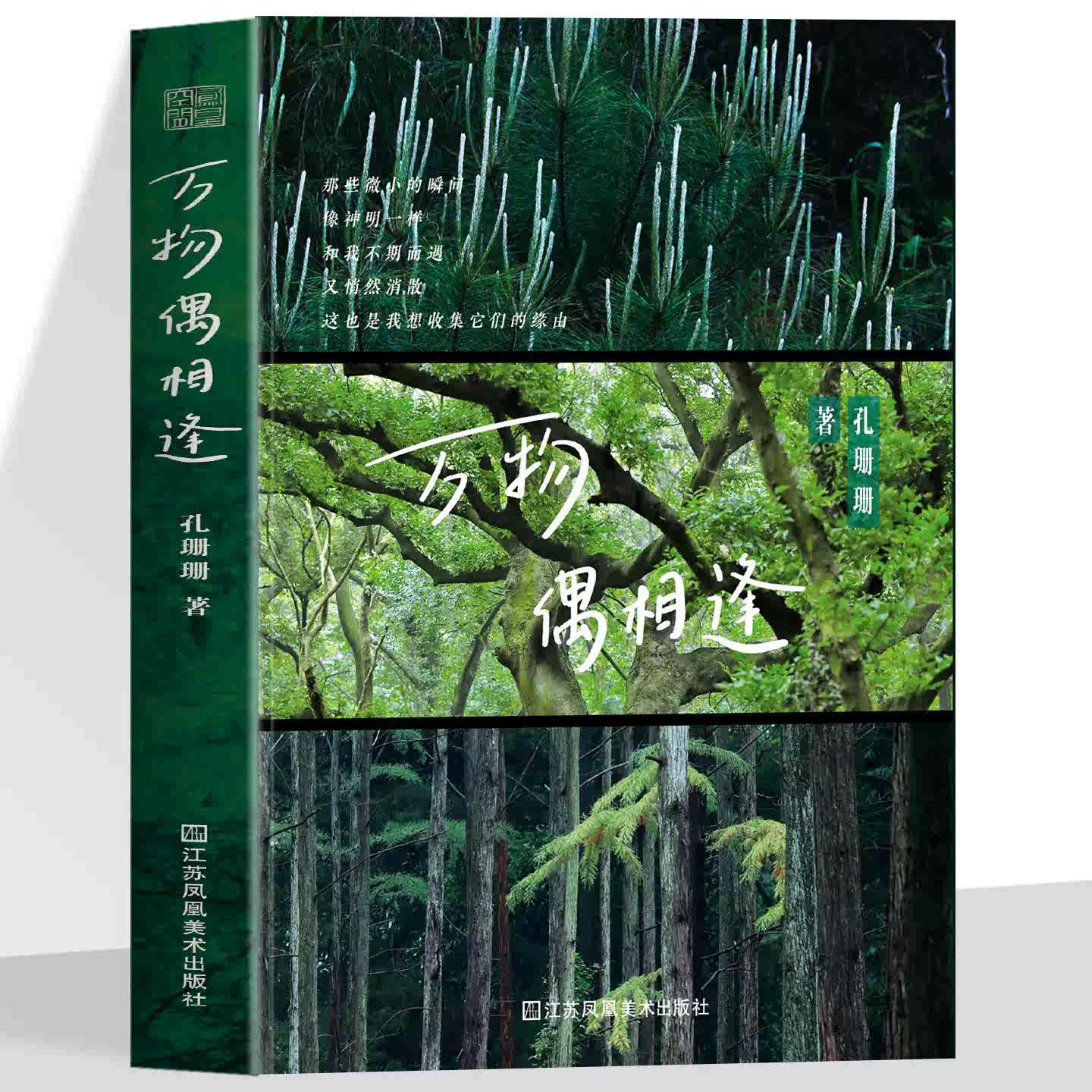万物偶相逢 散文摄影自然花草故乡城镇乡野森林 自然万物并非远在他方 也许就在一旁沉默低语 一部融合自然摄影与感悟文字的散文集