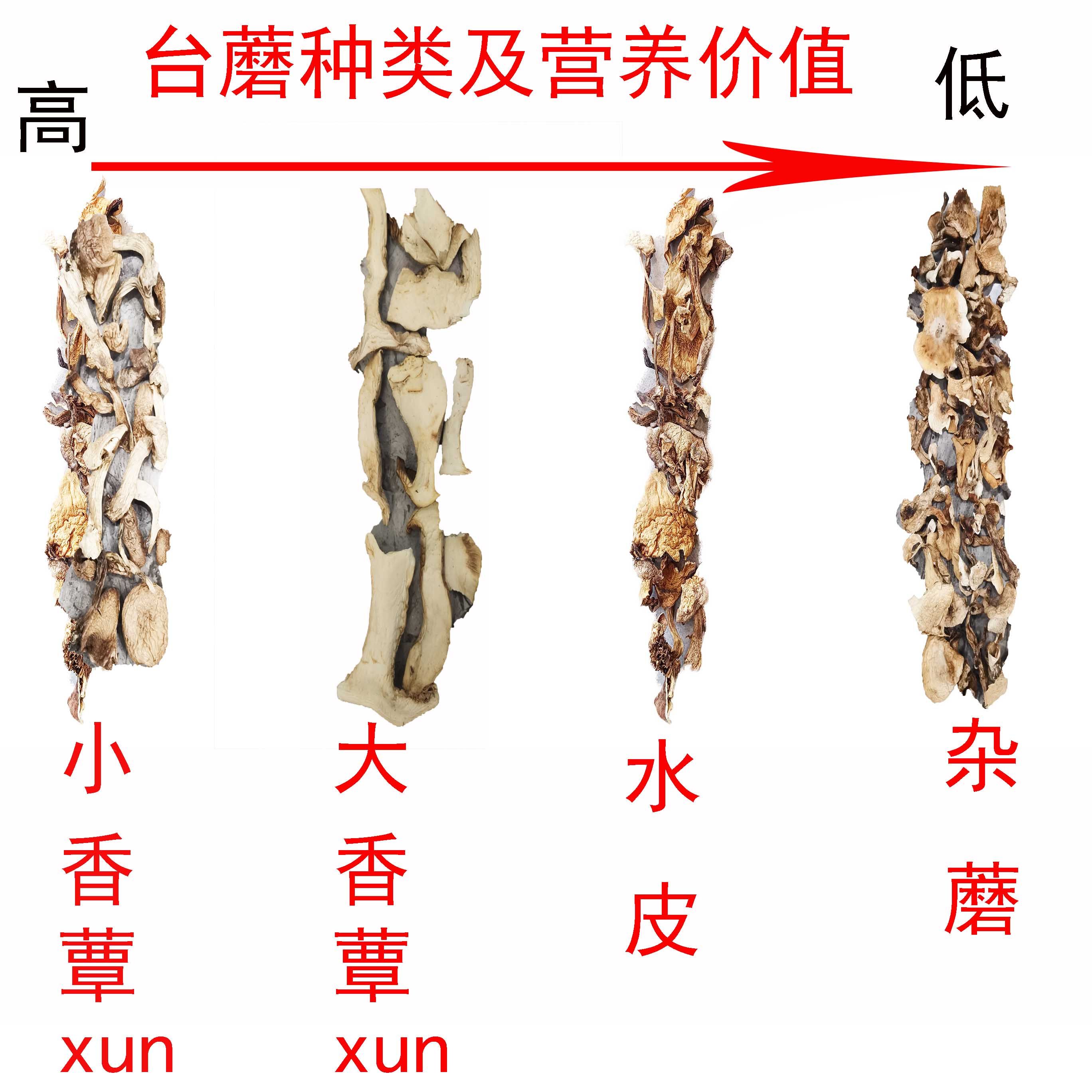 山西特产五台山台蘑野生蘑菇菇食用散装