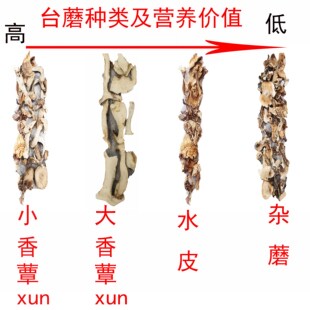 山西特产五台山台蘑野生蘑菇菇食用散装