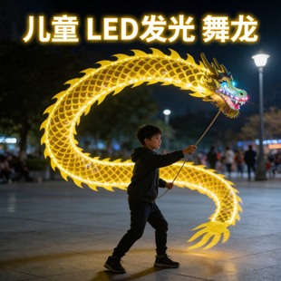 舞龙彩带儿童发光夜龙头甩全套表演玩道具成人广场舞健身中国龙