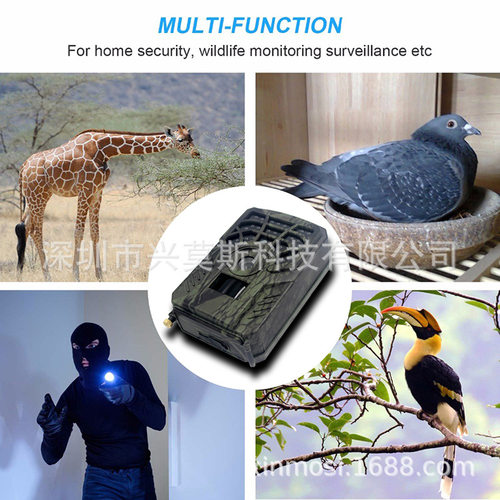 批发高清红外打猎相机动物摄像