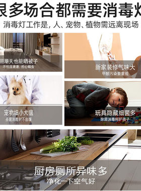 雪莱特紫外线消毒灯家用台式便携