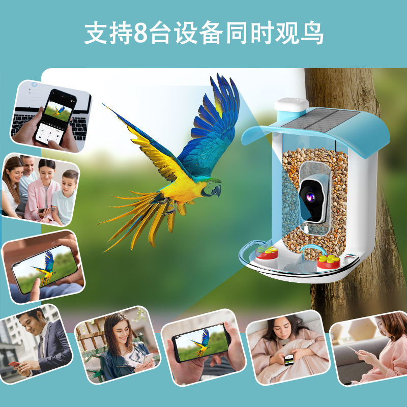 跨境AI智能喂鸟器识别鸟类APP摄