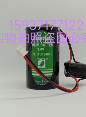 数据采集与监视控制系统锂电池电力SCADA系统脉冲型ER34615电池