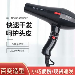 宝德龙2800吹风机发廊宠物店家用大功率速干电吹风负离子风筒