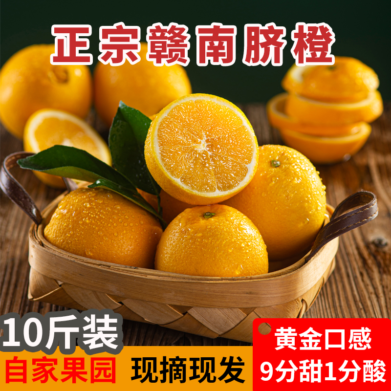 赣南脐橙一级果10斤装产地直发