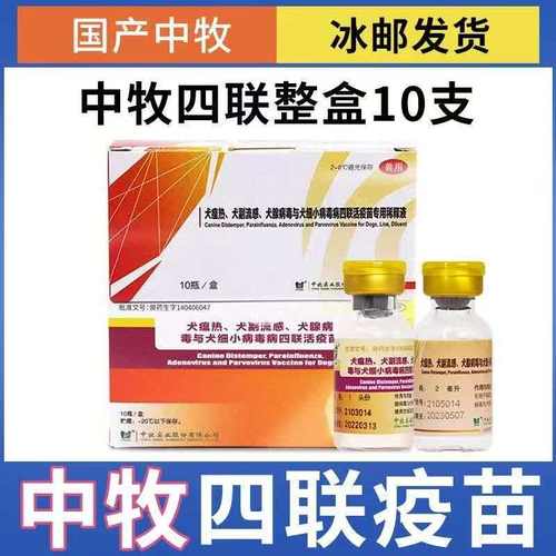 中牧犬四联疫苗自打整盒10支宠物狗狗预防犬瘟细小犬副流感狂犬