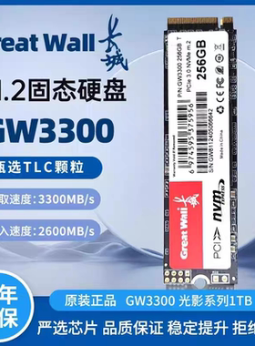 长城GW3300M2.SATA NVMe256G 512G 1TB协议台式机笔记本固态硬盘