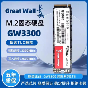 长城GW3300M2.SATA NVMe256G 512G 1TB协议台式机笔记本固态硬盘