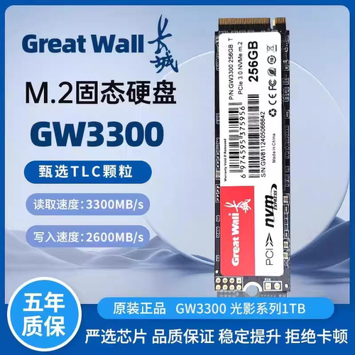 长城GW3300M2.SATA NVMe256G 512G 1TB协议台式机笔记本固态硬盘