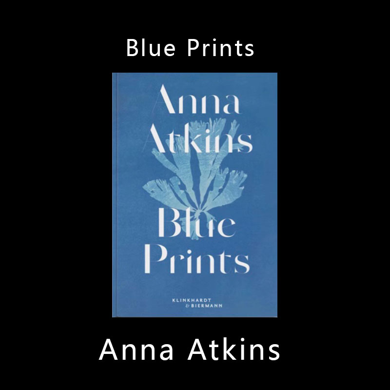 Blue Prints蓝晒集 Anna Atkins 安娜·阿特金斯