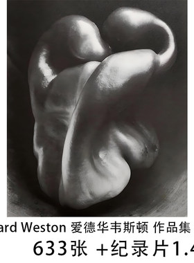 Edward Weston 爱德华韦斯顿 静物 人体摄影大师作品集 学习素材