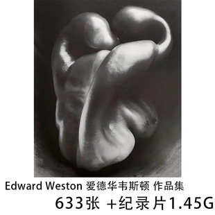 Edward Weston 爱德华韦斯顿 静物 人体摄影大师作品集 学习素材
