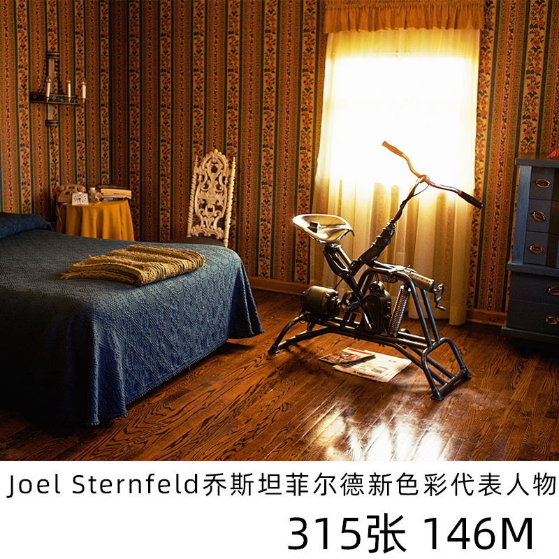 乔斯坦菲尔德Joel Sternfeld美国新彩色摄影公路摄影参考素材