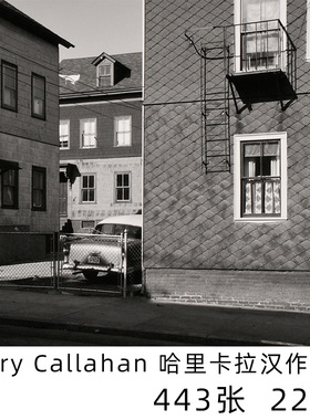 Harry Callahan 哈里卡拉汉 观念艺术摄影大师作品集图片素材资料