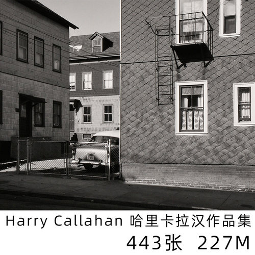 Harry Callahan 哈里卡拉汉 观念艺术摄影大师作品集图片素材资料