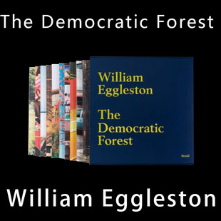 Democratic Eggleston Forest 森林 威廉·埃格尔斯顿 民主 The