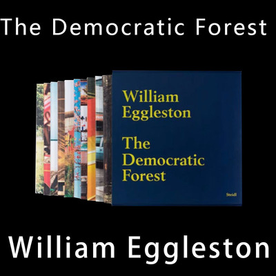The Democratic Forest 民主的森林 Eggleston 威廉·埃格尔斯顿