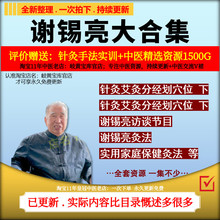 谢锡亮针灸艾灸分经划穴位中医视频音频大全集入门到精通自学教程