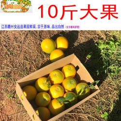 10斤大果 赣南脐橙 江西赣州橙子当季鲜果三百山果源正宗赣南脐橙