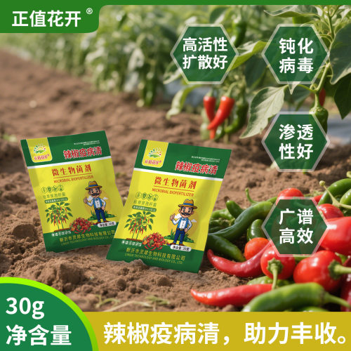 辣椒专用叶面肥复合微生物菌剂黄化炭疽黄叶枯萎根腐辣椒疫菌清