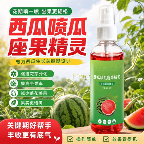 西瓜喷瓜座果精灵保花保果膨果