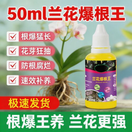 兰花爆根肥料爆芽生根壮株拔箭促开花素叶面肥厂家现货